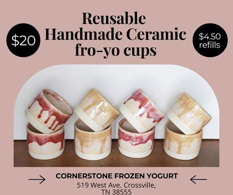 Fronzn Reusable to Go Yogurt Eco-Friendly Plastic Cups with Lids